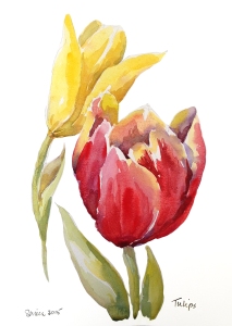 Tulip3a